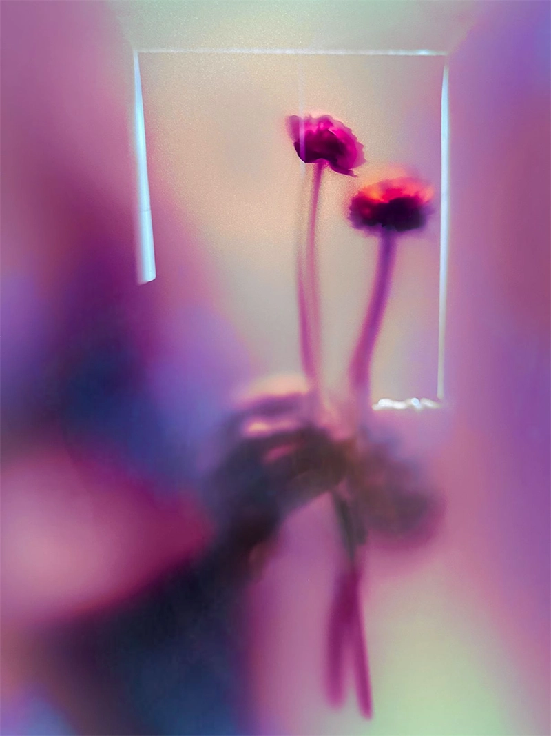 Petal & Leaves