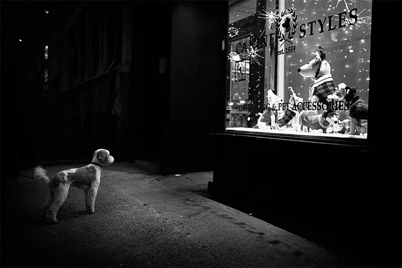 Phil Penman: Street Scenes