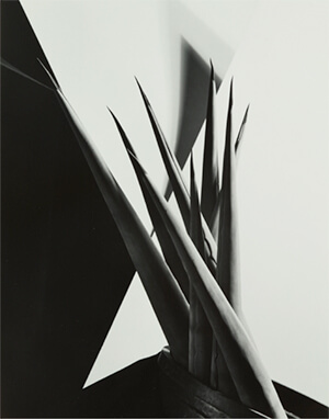 Photography´s New Vision: Experiments in Seeing