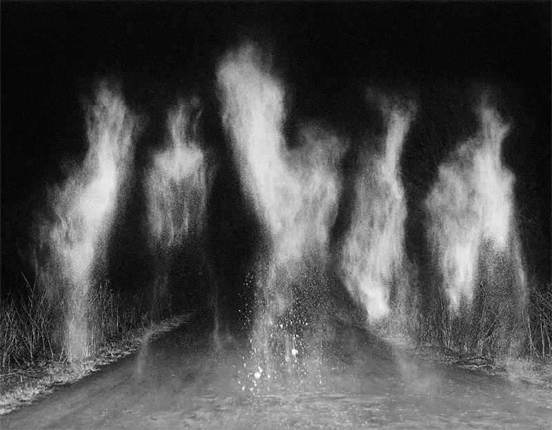 Pia Paulina Guilmoth: Flowers Drink the River