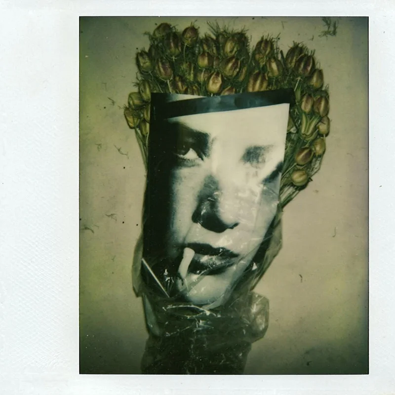 POLAROID: The Instant Image