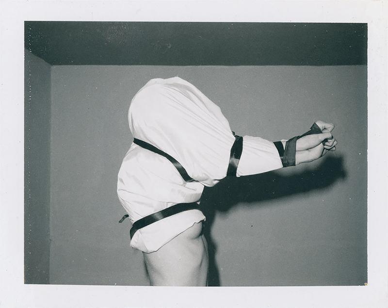 Polaroids Steve Kahn