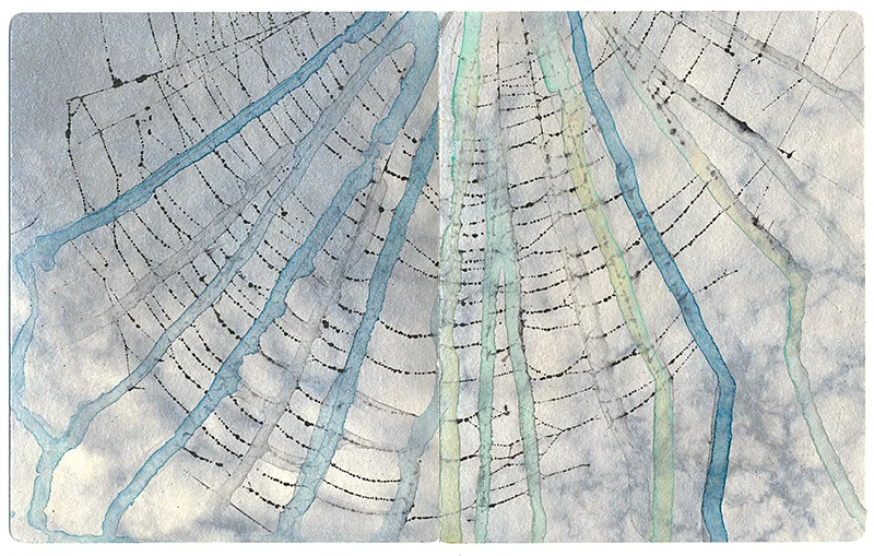 Rachel Phillips: Not a Cloud in the Sky