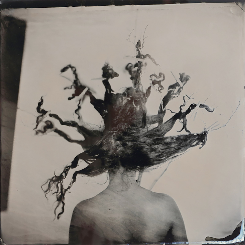 Rachel Portesi: Hair Portraits