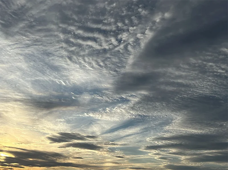 Raphael Avigdor:  Both Sides Now