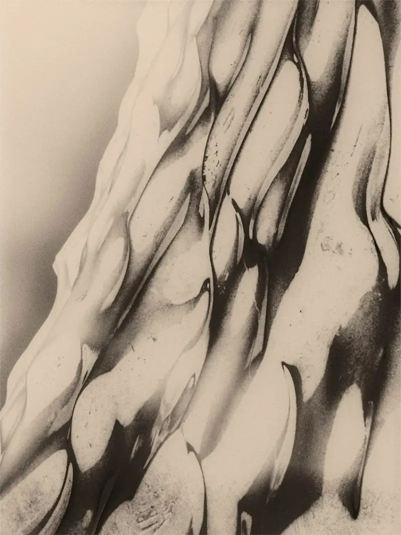Reverting: Francisco Gonzalez Camacho