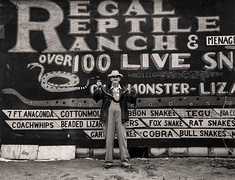 Roadside Attractions
