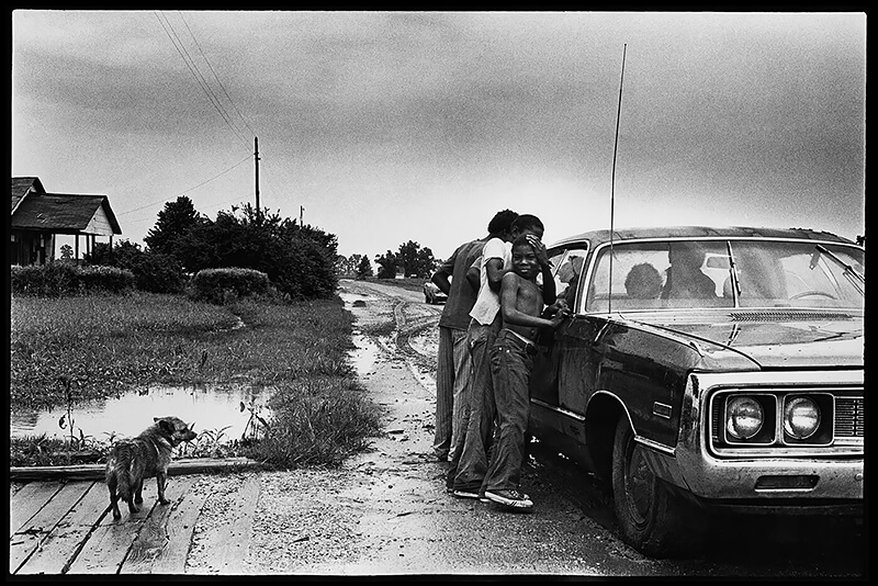 Rotan Switch by Lisa McCord