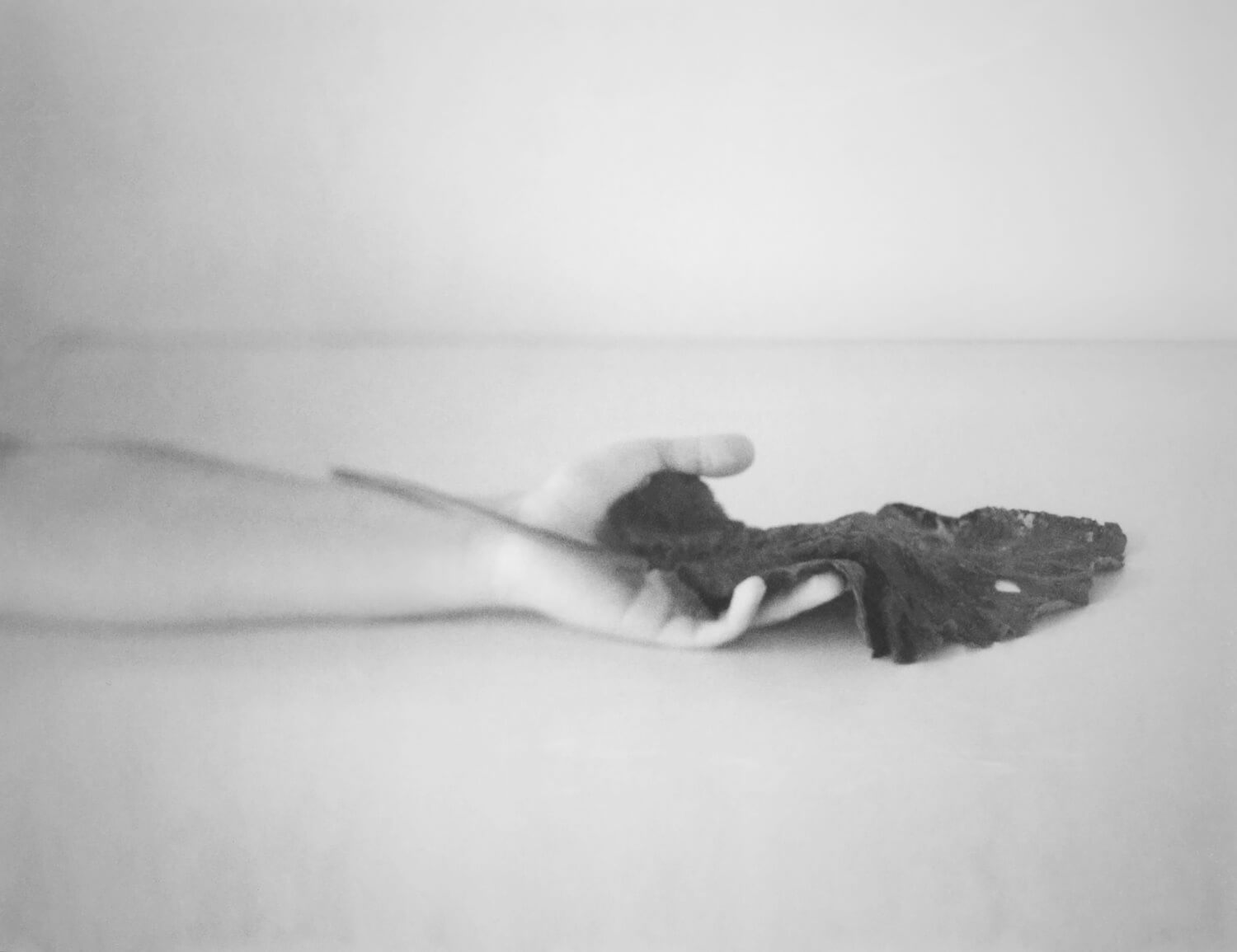 Ruth Lauer-Manenti: Remnants