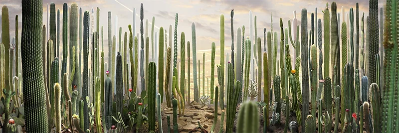 Ruud van Empel: Theatre