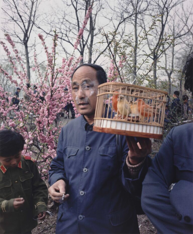 Sea Change: Photographs from the Exhibition
