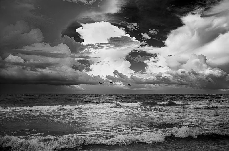 Seascapes by Richard Sexton