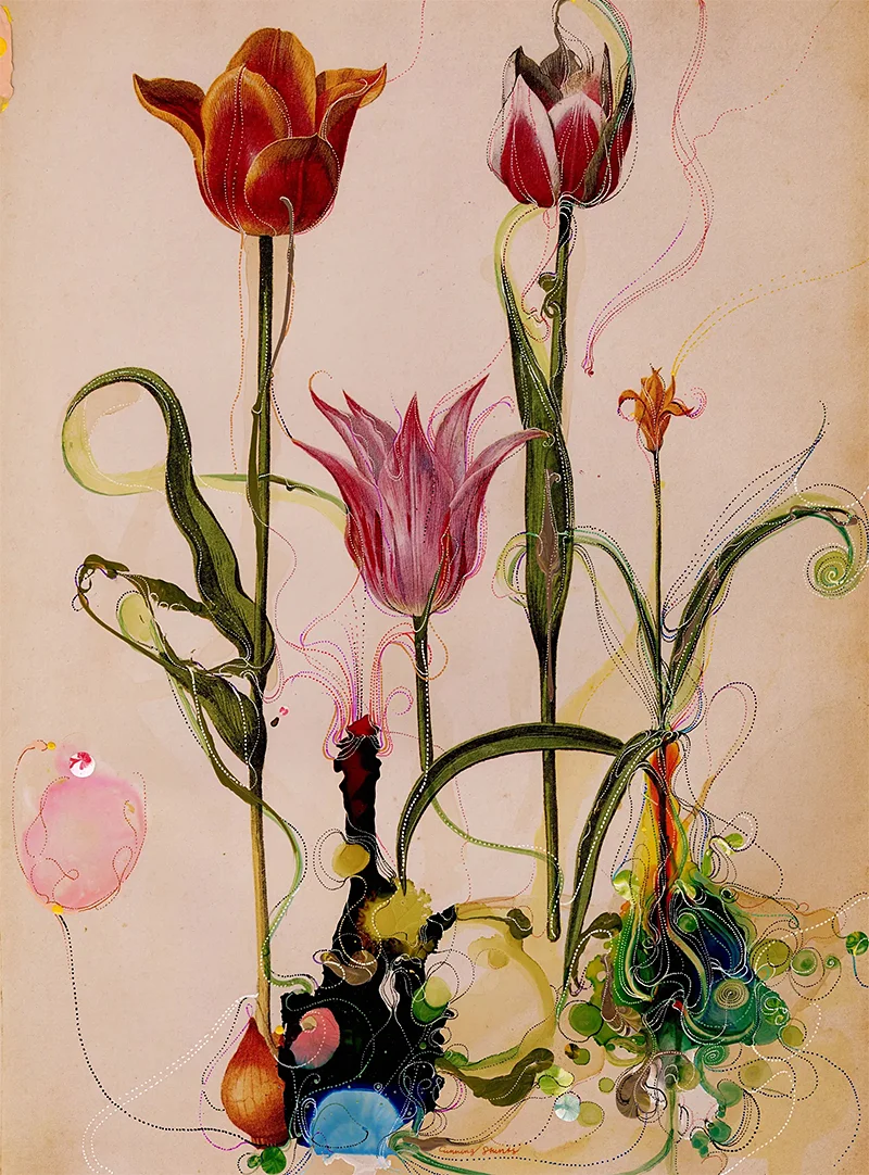 Sebastiaan Bremer: Super Modern Things