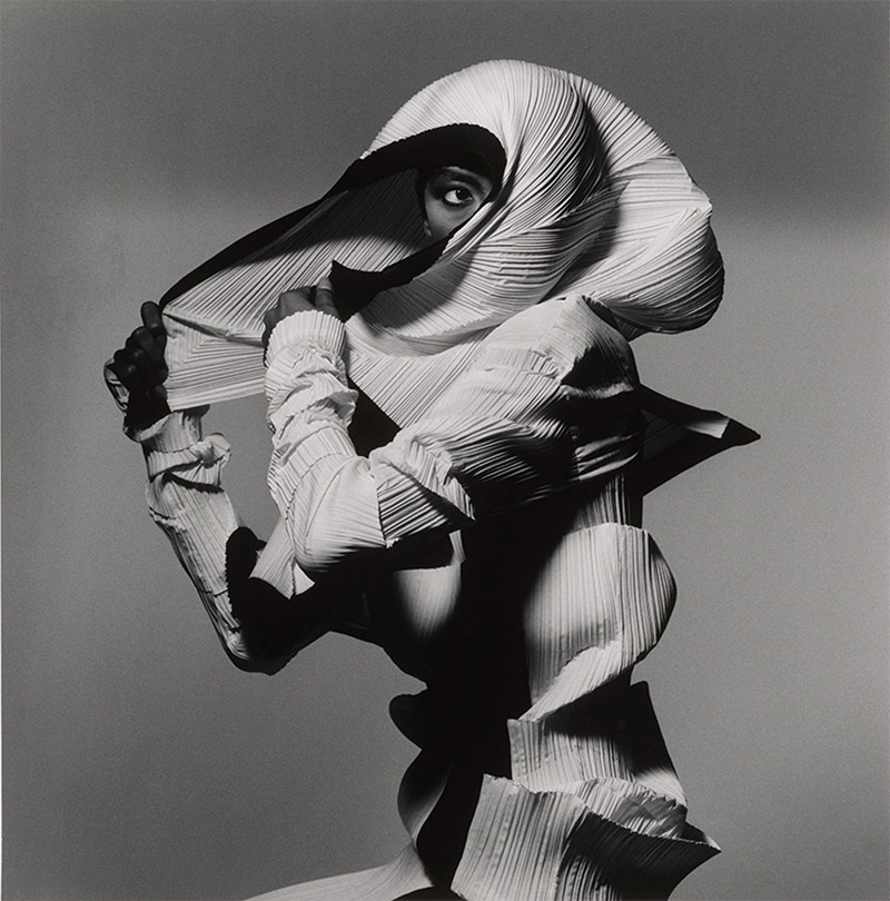 Seen Together: Acquisitions in Photography