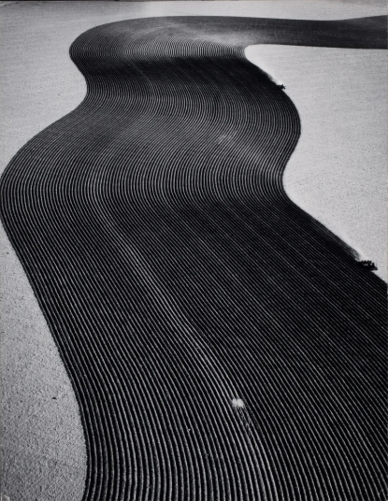 Selections From the Collection