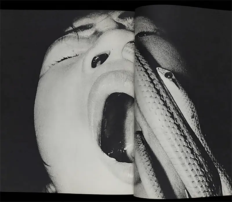 Self and Others: Japanese Photography after 1968