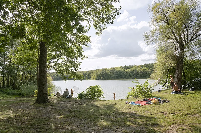 Terri Warpinski: Death|s|trip