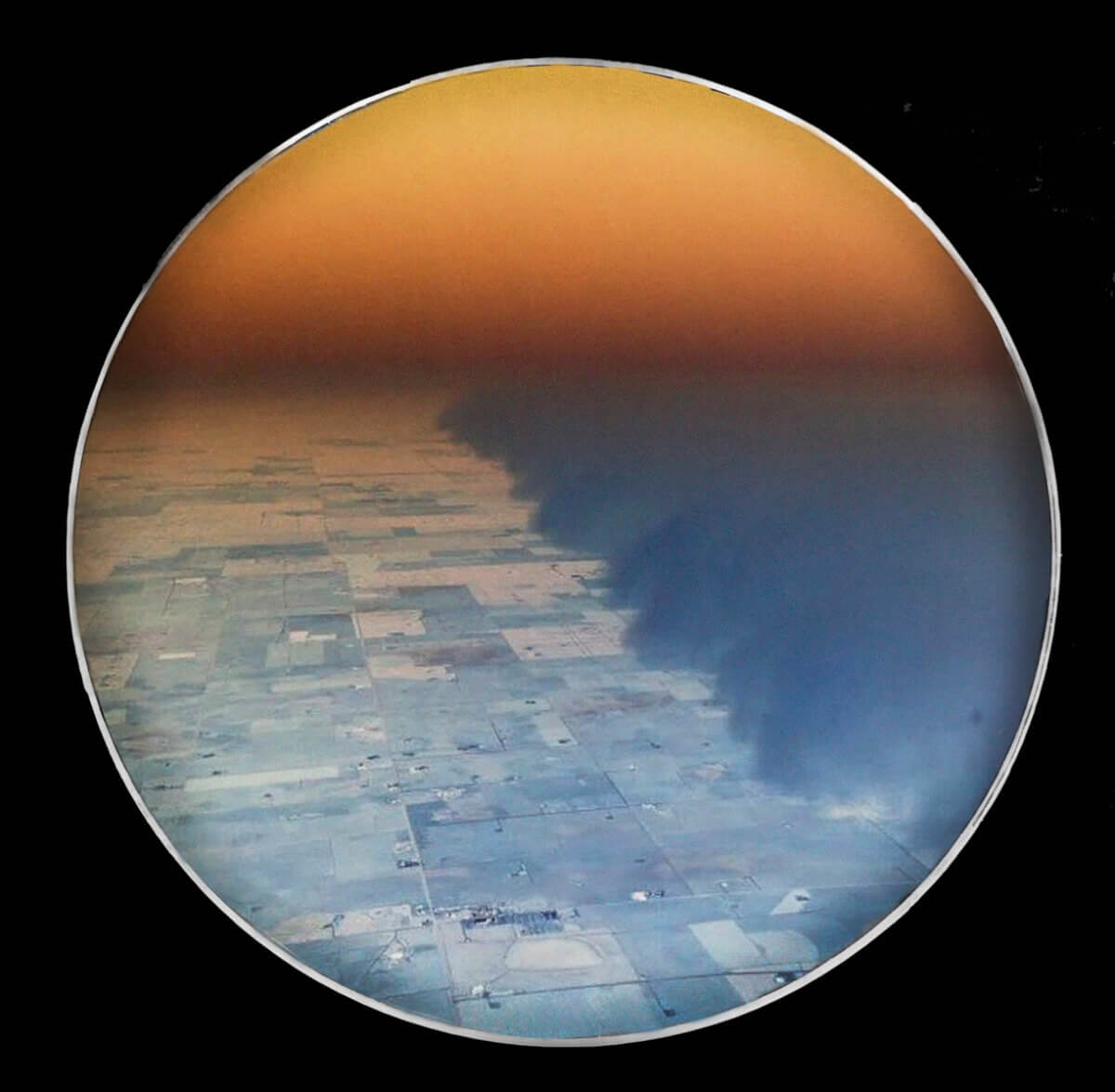 The Future is History: Natascha Seideneck