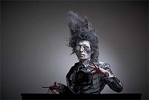 The Horizon and Everything Within It