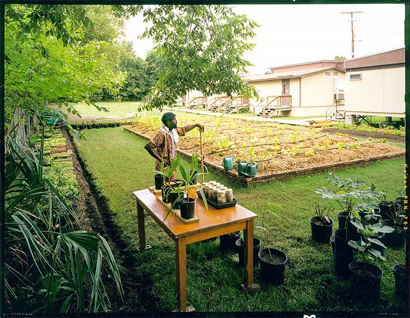 The Photographer in the Garden