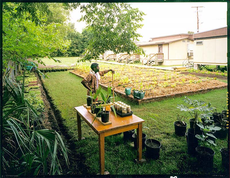 The Photographer in the Garden