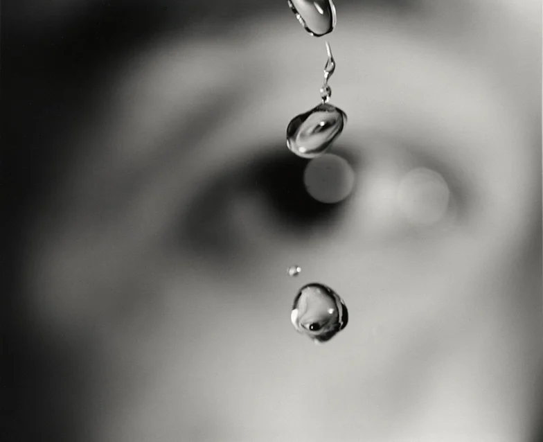 The Photographic Reflex: The Lee Marks and John C. DePrez Jr. Collection