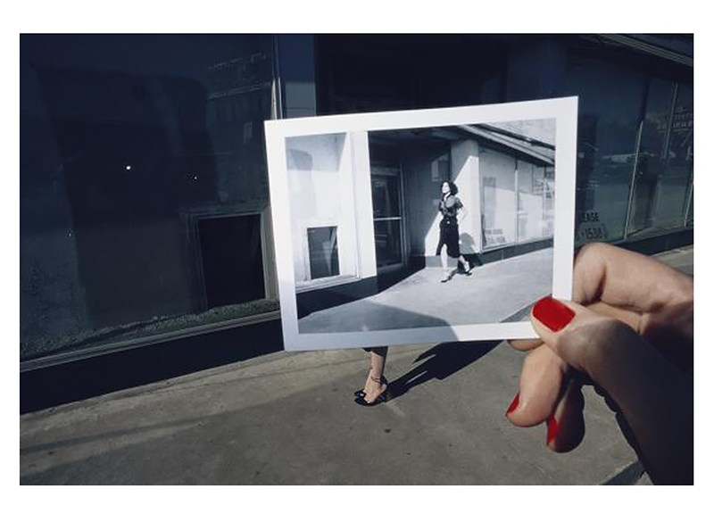 The Polaroid Project: At the Intersection of Art and Technology