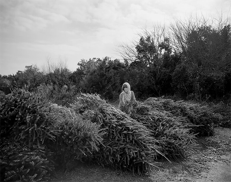 the space between by michelle l teichman the space between by michelle l teichman