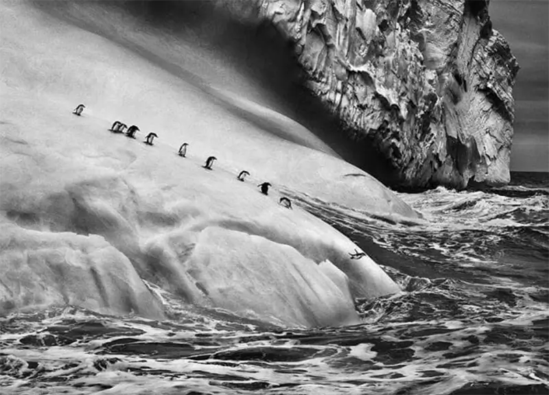The World of Sebastião Salgado