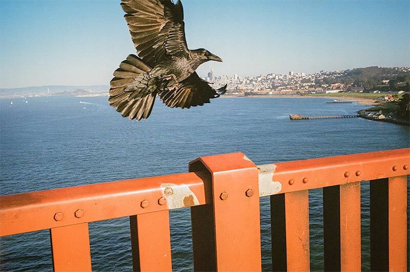 This Must Be The Place