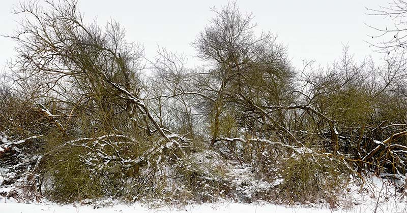 Thomas Struth: New Work