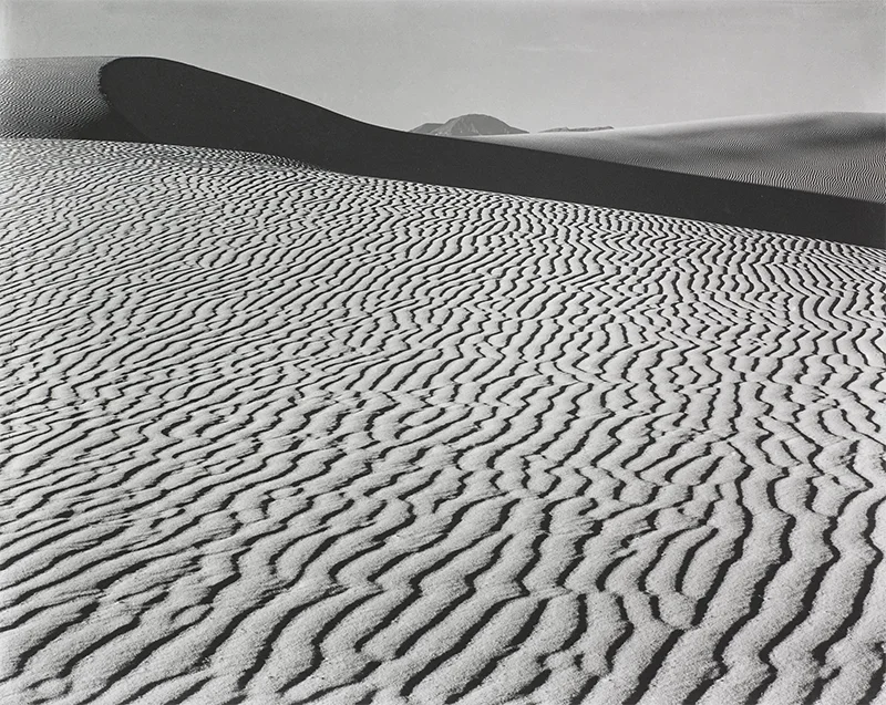 Through the Lens: American Photographs from the Carter Collection