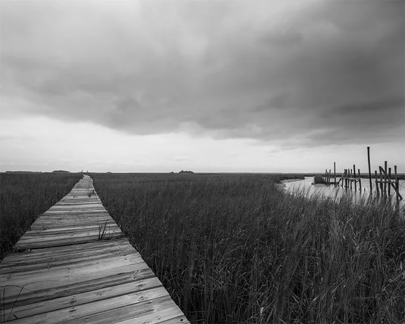 Tideland: Photographs by Parker Stewart