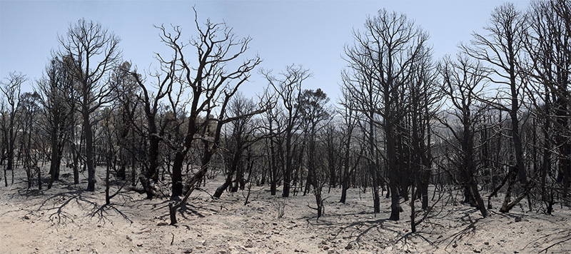 Tierra Entre Medio