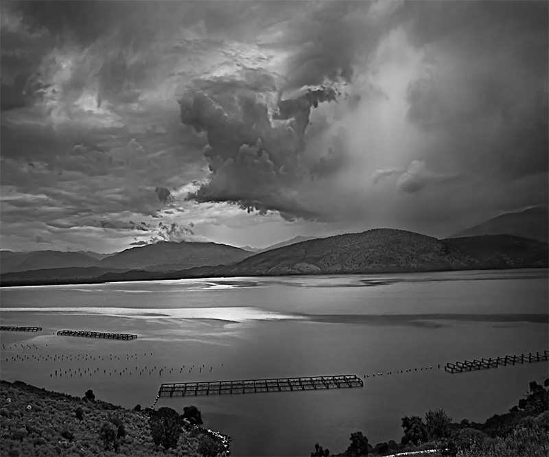 Timothy H. McCoy: Beyond My Lens