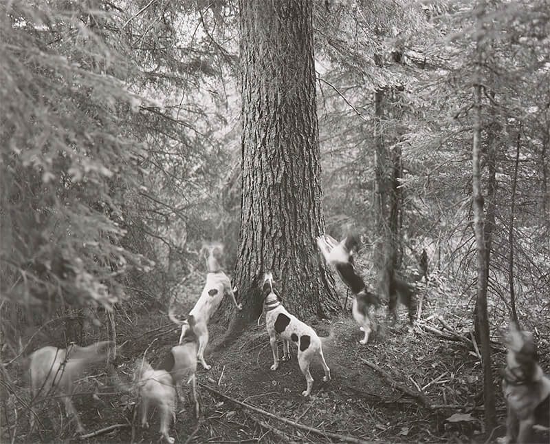 Toughened to Wind and Sun: Women Photographing the Landscape