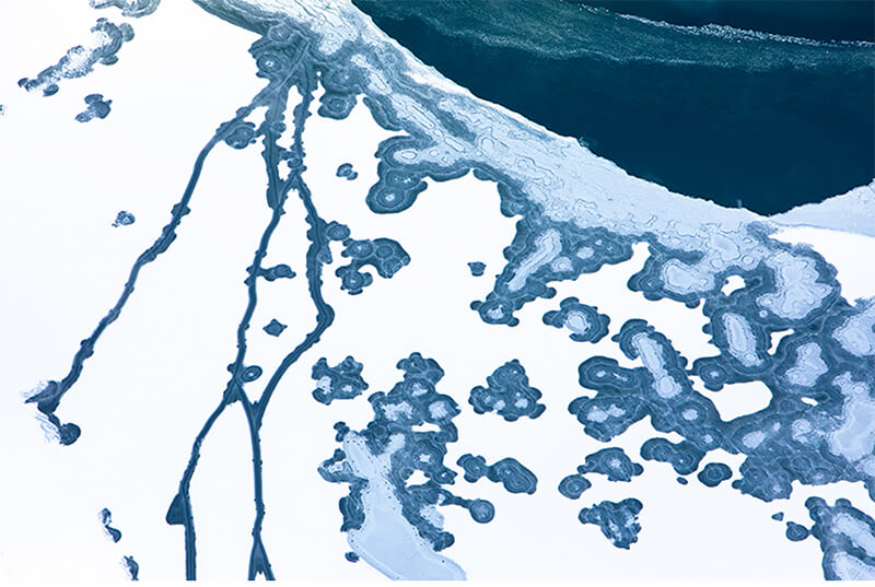 Tuck Fauntleroy: Elements