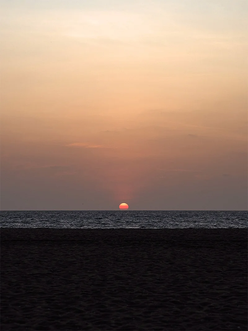 Vesna Pavlović: No Ordinary Sunsets