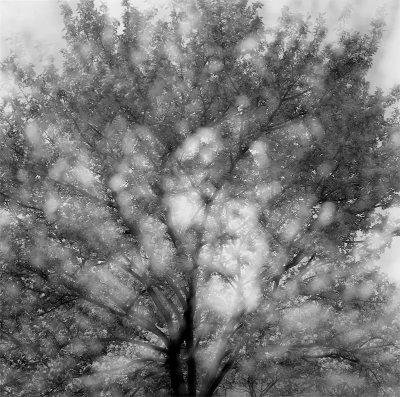 Vibrations of Nature: In-camera Multiple Exposures