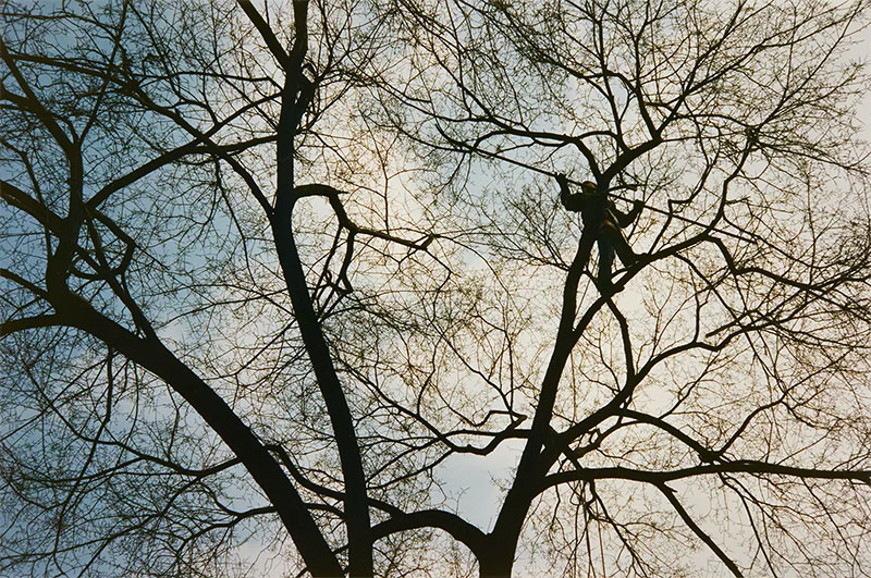 Viewfinders: Photographers Fame Nature