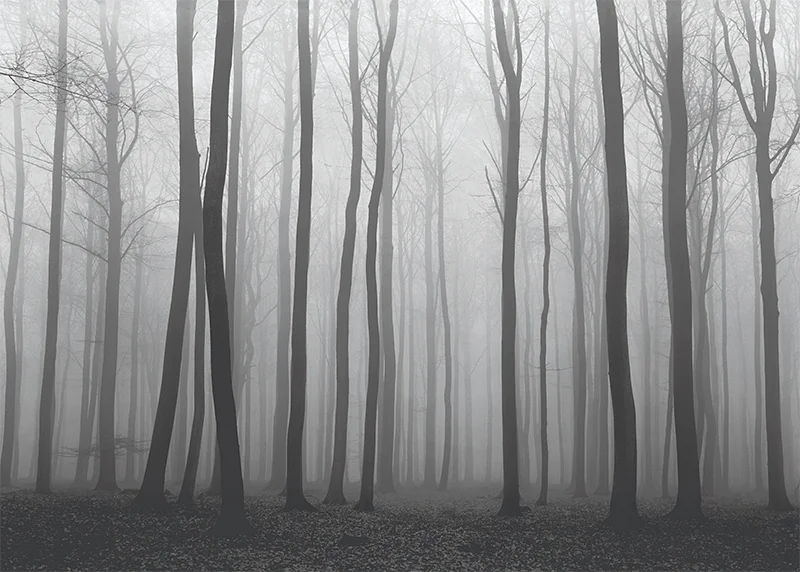 Vincent Vallarino: Timeless Beauty, Unseen Realities