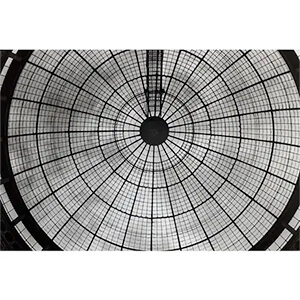Warm Room: Photographs from Historic Greenhouses by Peter A. Moriarty