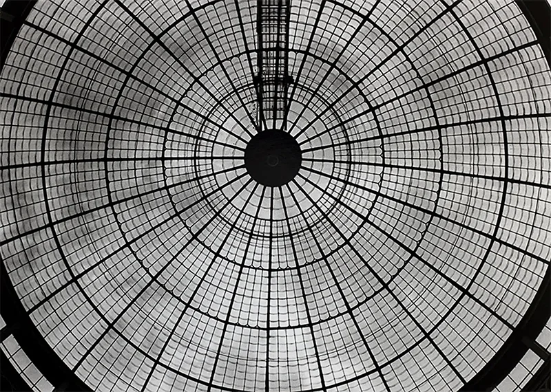 Warm Room: Photographs from Historic Greenhouses by Peter A. Moriarty