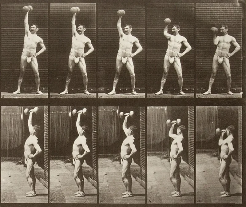 Whipped Cream & Other Delights (Fraenkel at Ortuzar)