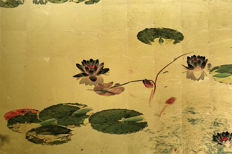 Windows to the Unexpected