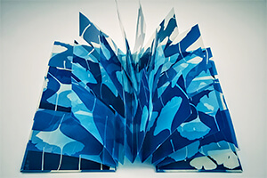 Winter Blues, Contemporary Cyanotypes