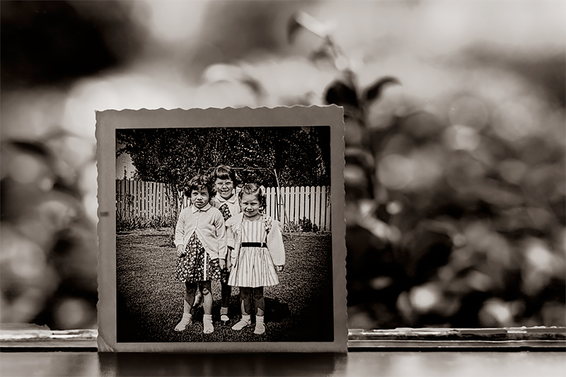 Without a Map: Marsha Guggenheim