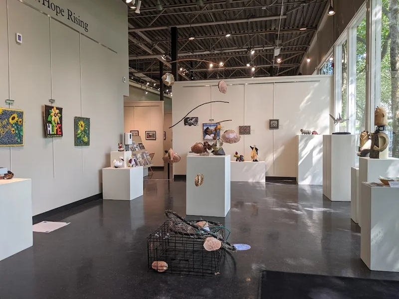 A/NT Gallery