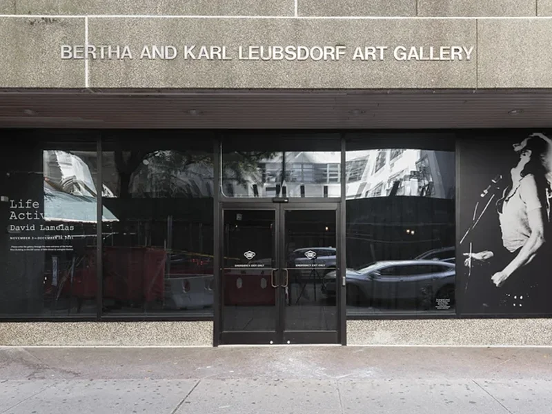 Bertha and Karl Leubsdorf Gallery