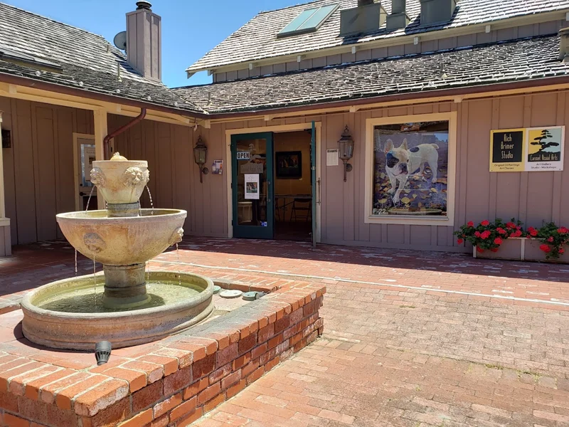 Carmel Visual Arts